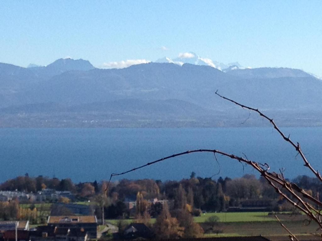 La Tourelle room 5